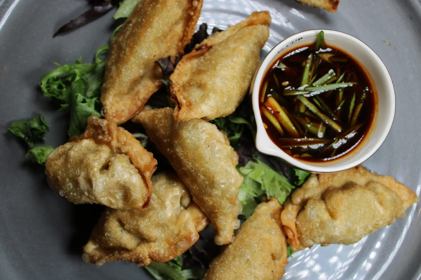 Deep Fried Dumplings at Blazin’ Soy